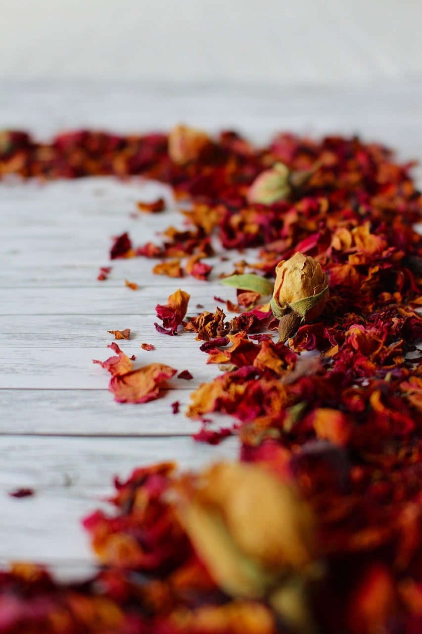 portfolio-08 dry flower, beautiful flowers, plant, flower background, blossom, bloom, nature, petals, flower wallpaper, romantic, close up, flora, roses, bloom, flower, pink, beautiful, natural cosmetics, everlasting flowers, dried flowers, macro, naturopathy, fragrance