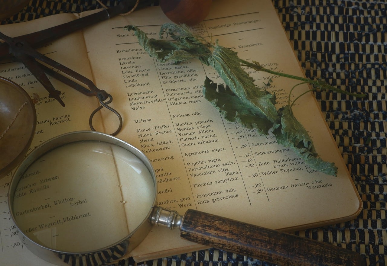 medicine, recipe, herbs, pharma, pharmacy, health, naturopathy